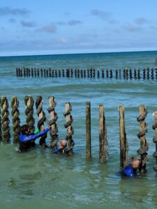 Bretagne Marie Semaille visite et séjour (9)