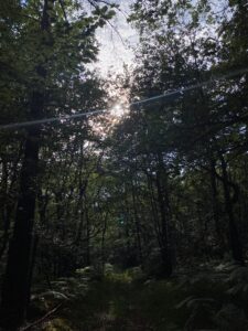 soggiorno bretagna (1)