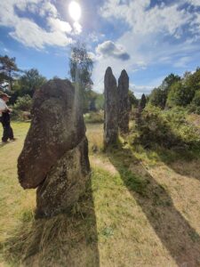 soggiorno bretagna (11)