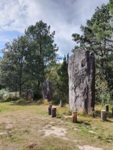 soggiorno bretagna (12)