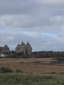 soggiorno bretagna (16)