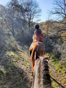 soggiorno bretagna (18)