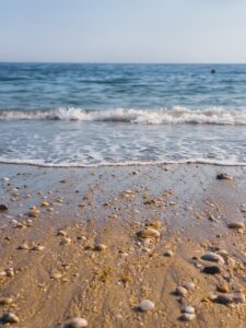 soggiorno bretagna (2)