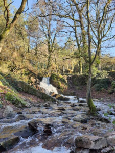 soggiorno bretagna (20)