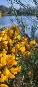 soggiorno bretagna (22)