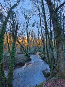 soggiorno bretagna (24)