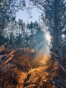 soggiorno bretagna (3)